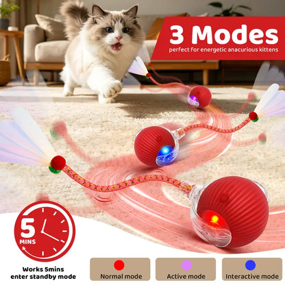 Interactive Rechargeable Rolling Ball Toy for Cats & Small Dogs