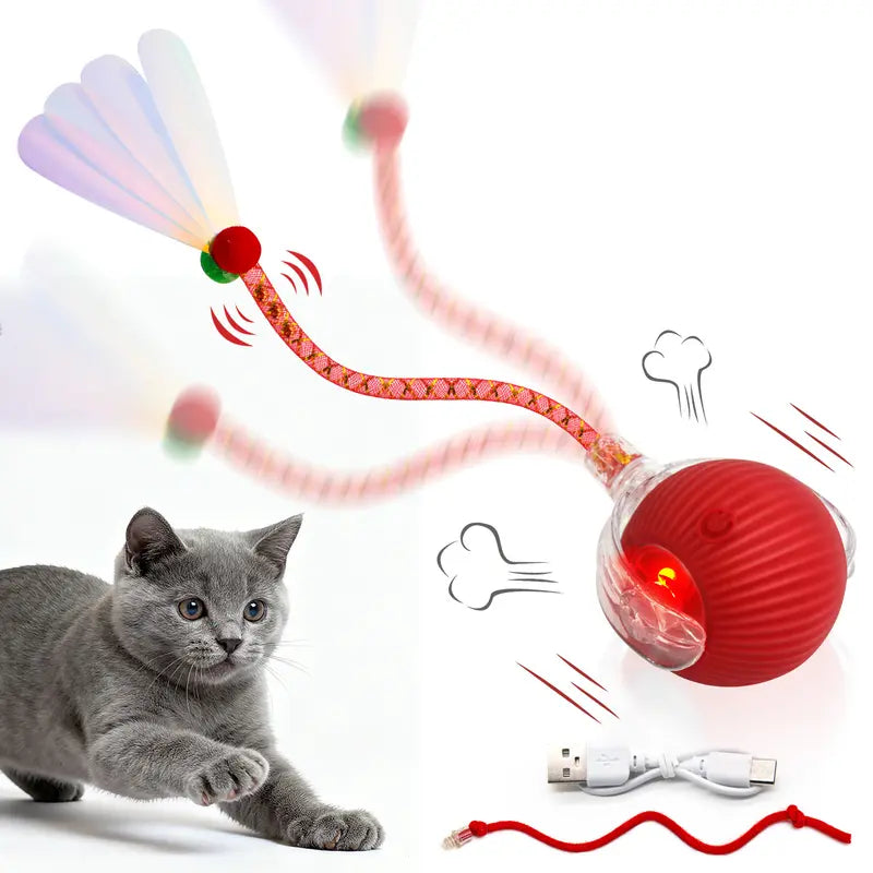 Interactive Rechargeable Rolling Ball Toy for Cats & Small Dogs