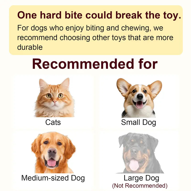 Interactive Rechargeable Rolling Ball Toy for Cats & Small Dogs