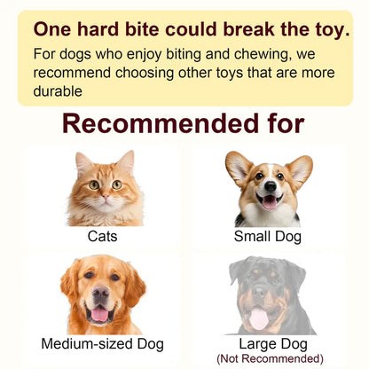 Interactive Rechargeable Rolling Ball Toy for Cats & Small Dogs