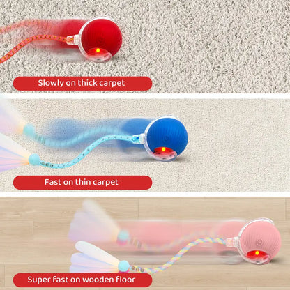 Interactive Rechargeable Rolling Ball Toy for Cats & Small Dogs