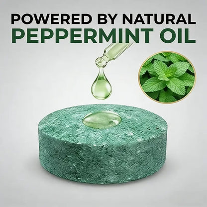 Peppermint Cinnamon Oil Mice Repellent for Squirrel Rats Spider Pests. Mice Repellent for Indoor/Outdoor Use