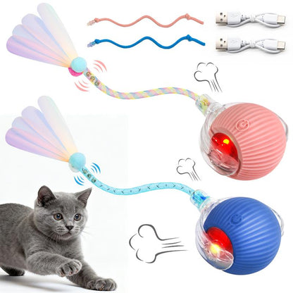 Interactive Rechargeable Rolling Ball Toy for Cats & Small Dogs