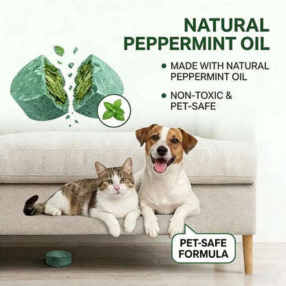 Peppermint Cinnamon Oil Mice Repellent for Squirrel Rats Spider Pests. Mice Repellent for Indoor/Outdoor Use