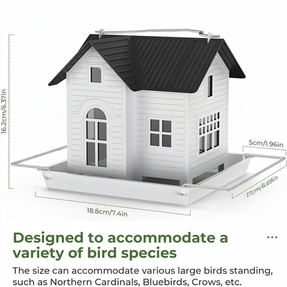 Solar Window Bird Feeder with Auto-Glow Light – Day & Night Bird Watching🐦