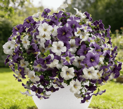 🌱Artificial Flowers for Outdoors.  Fake Outdoor Petunias UV Resistant (Zero Pollen Allergies)